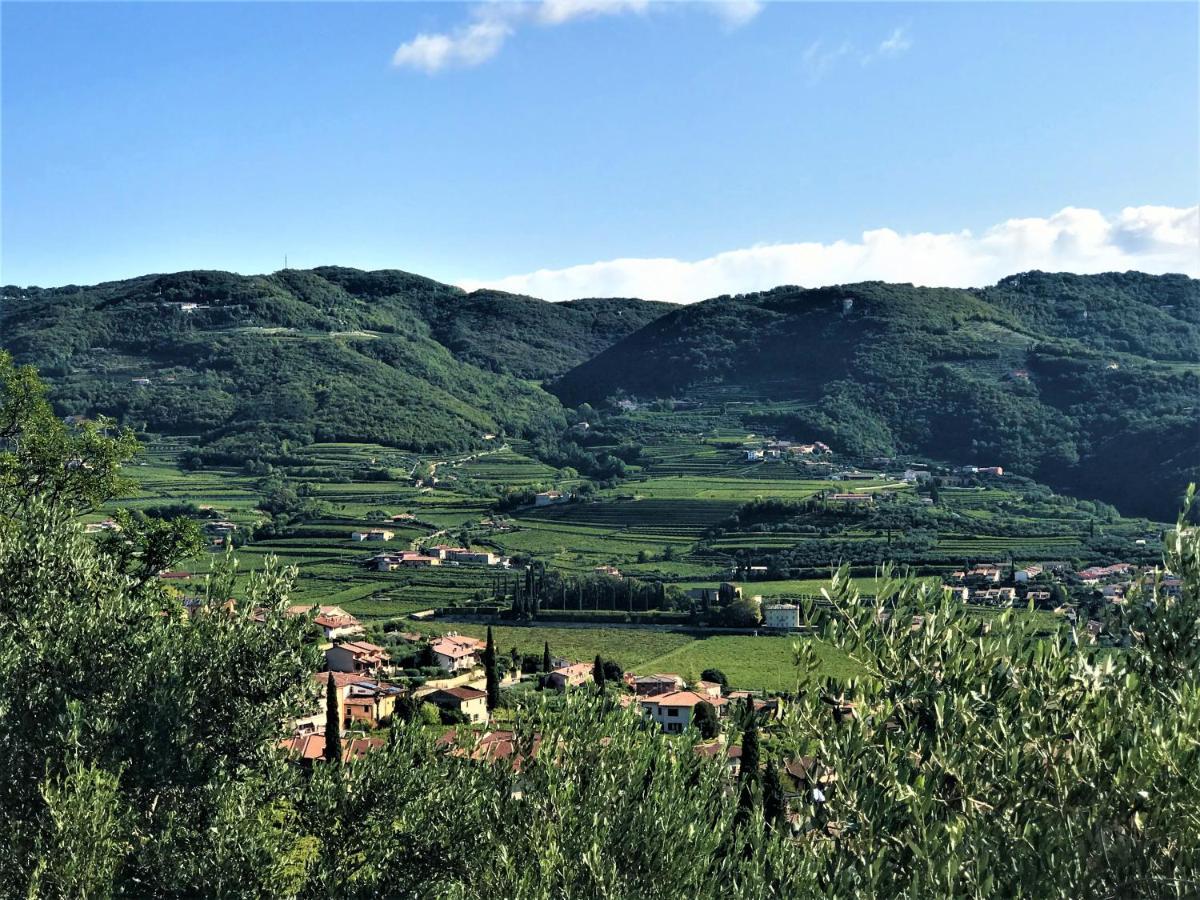 Valpolicella Hills Apartment Negrar Bagian luar foto