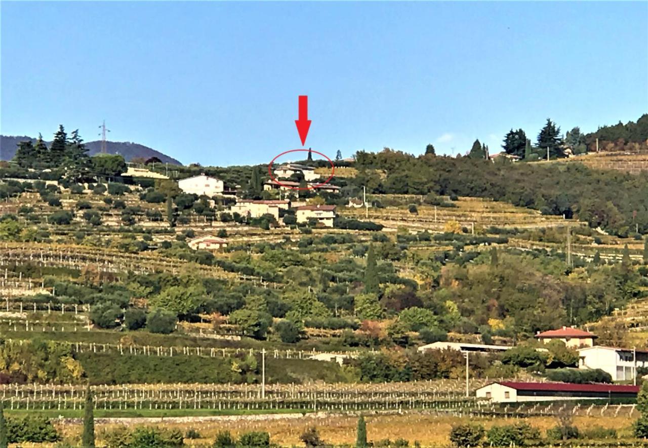 Valpolicella Hills Apartment Negrar Bagian luar foto